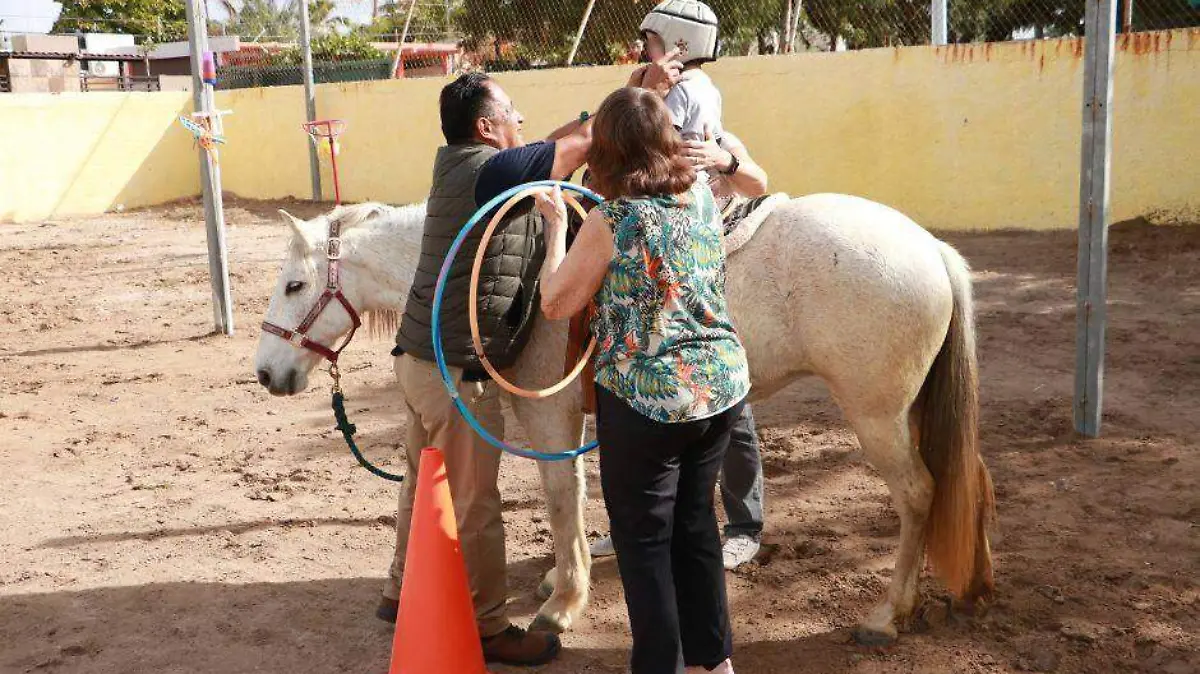 equinoterapia 20 infantes